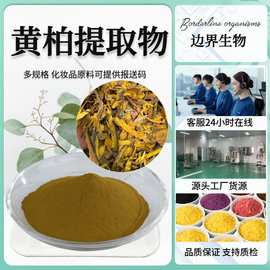 黄柏提取物 黄柏粉喷雾干燥粉 源头货源 量大价优其他规格1kg/袋