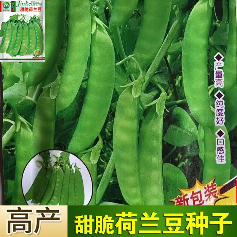 Семена гороха, семена сладкого овощного гороха, семена фасоли и горох в чашке.