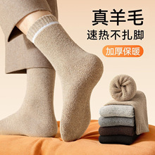 ����ū��ë�m���п��ﶬ���ӽq�Ӻ�ů����������q�T���m�����l