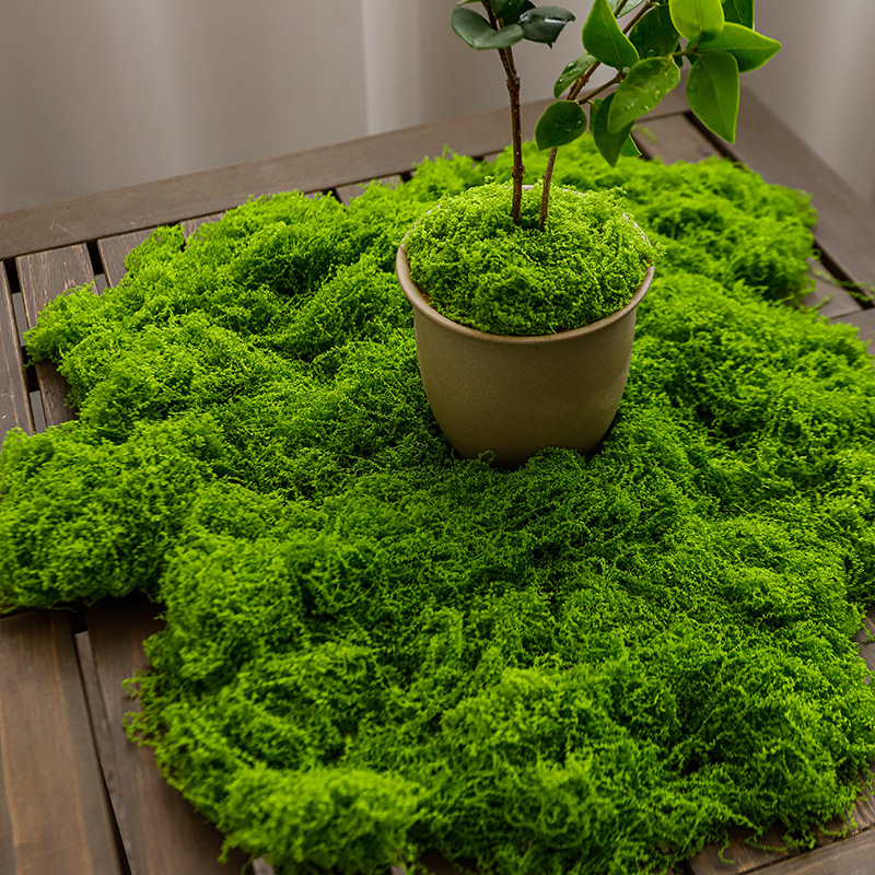 Simulation moss filamentous plush artificial fake moss micro landscape layout ornaments lawn bonsai bonsai decoration landscaping
