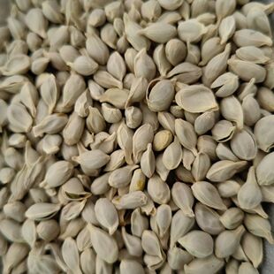 �ٺ� ����  ��؛�o��ۺ� ��ș���ٺ� ����� ����ă� ���N�䱳