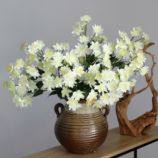 ����ֲ�� ���滨ѩ�ɻ� �ٻ�3D��ӡɫ ����ֲ��Ҿ��b��ѹ�Ӣ