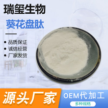 �����P�� �����P��ȡ�� �����P��s�� �S�ҹ����F؛ ���󃞻�