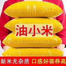 ����SС�������r���®a����s�Z��Ŵ��ζС����5���b