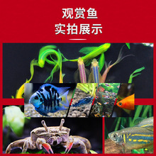 �Ꭷ�^�p�~�~����R�~���Bˮ��С����С�Ϳ�ȸ���~���~��ˮ�����~