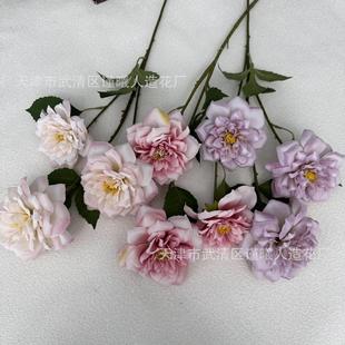 3�^����õ��ٻ���c���滨�껨��Y�þƵ�Ҿ��b�Y�Ĕz����