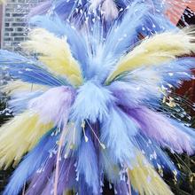 �W�t�����c�����JȔ��������ȸ�ݷ�����ɫ��ë�Y�ò廨�����b�