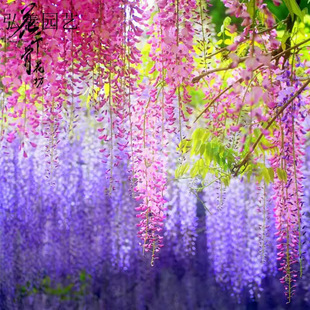 �໨���ٷN�� �����辰 �·N�ӾG���е���ľ��ľ��N�� ����ֲ��