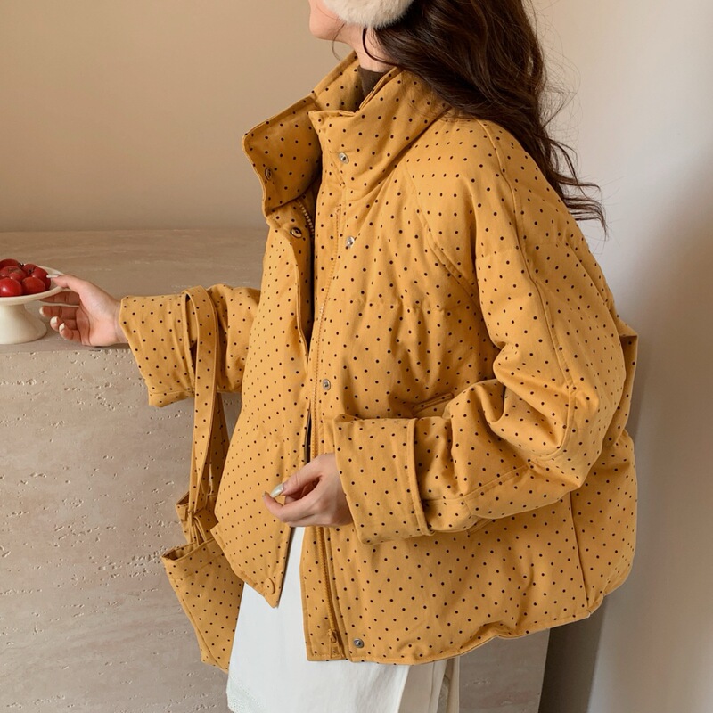 2025 Winter New Stand Collar Polka Dot down Jacket Women's Short Fashion Small Thickened White Duck down Style Jacket