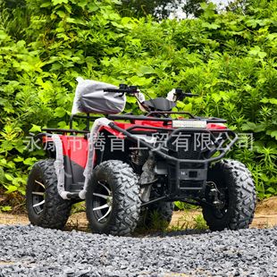 Rear-Wheel Drive 300Cc Water-Cooled Atv with Independent Suspension, Four-Wheel Off-Road Automatic Transmission Motorcycle