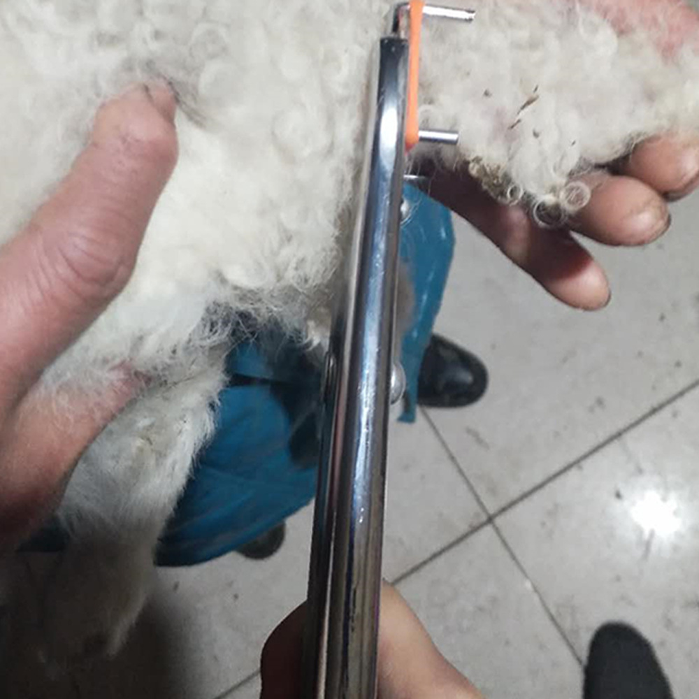 Veterinaria Piglet Cordero cola anillo de castracion roto alicates de expansión de metal mascota gato perro cola sin sangre herramienta de eliminación de equipos de cría