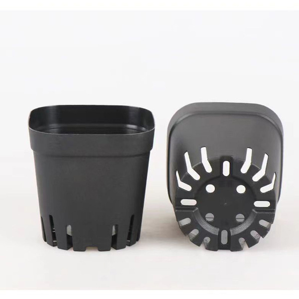 Multisani seedling pot small black side 5.5 square style of black…