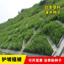 SҹľNl뻱̻໨ľmyϚgϹľɘN