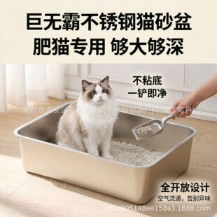 �羳؈ɰ�賬��̖���P�؈ɰ��XXL�Ӹ߼������R��ճ�׷�؈����
