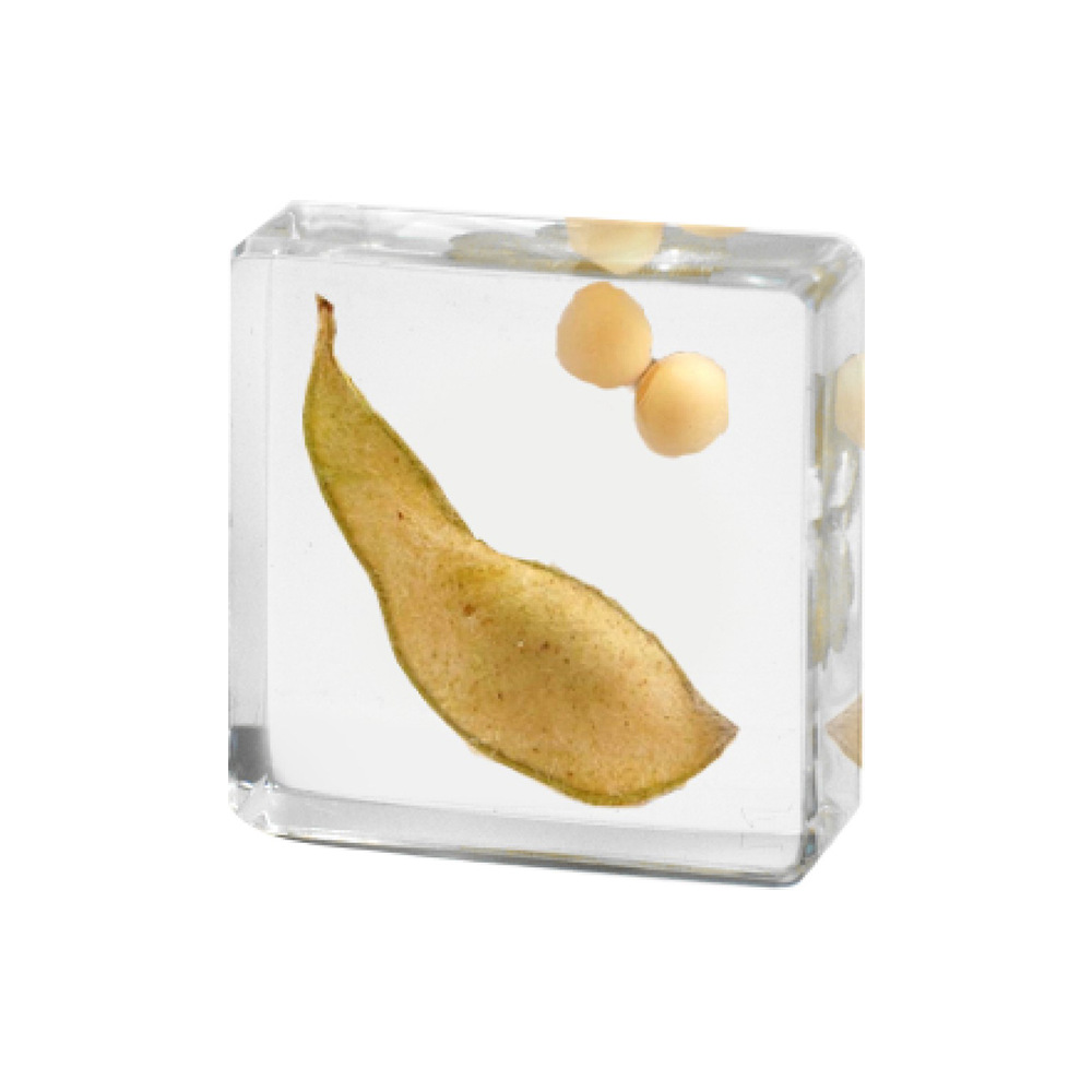 3.8CM small cubes of soybeans