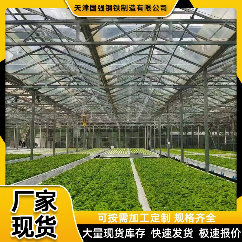 Теплица производитель обработки сельскохозяйственная бытовая овощная теплица зимний дневной свет теплица сарай для посадки арбуз сарай