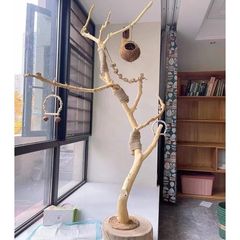 干树枝原木杈树枝落地灯小鸟站架落地式木架子房间装饰鹦鹉架干枝