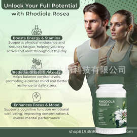 热销新品身体护理60粒红景天玫瑰胶囊rhodiola rosea工厂直销OE M