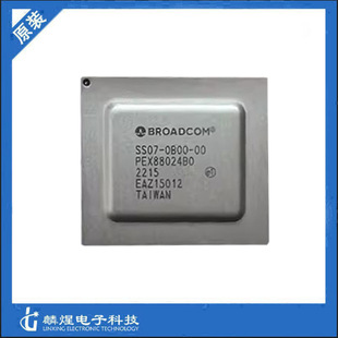 SS07-0B00-00 PEX88024B0-DB Broadcom ��ͨ PCI�ӿ� ������оƬ
