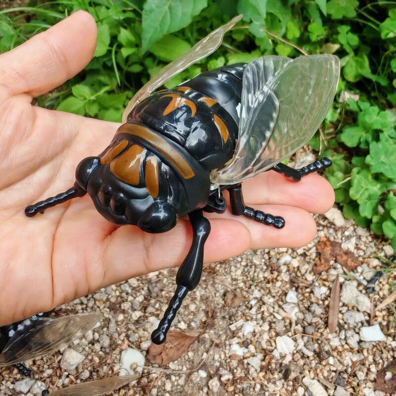 新しい巻き上げ式蝉シミュレーション爬虫類時計じかけのおもちゃ昆虫クリエイティブトリック減圧おもちゃクロスボーダーホットセール|undefined