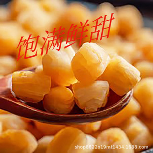 �V���خa��ؐ�����������������ؐ�⺣�r��؛���l