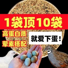 芦丁鸡饲料育雏下蛋专用小鸡幼鸡成鸡开口鹌鹑卢丁食物粮食鸡粮