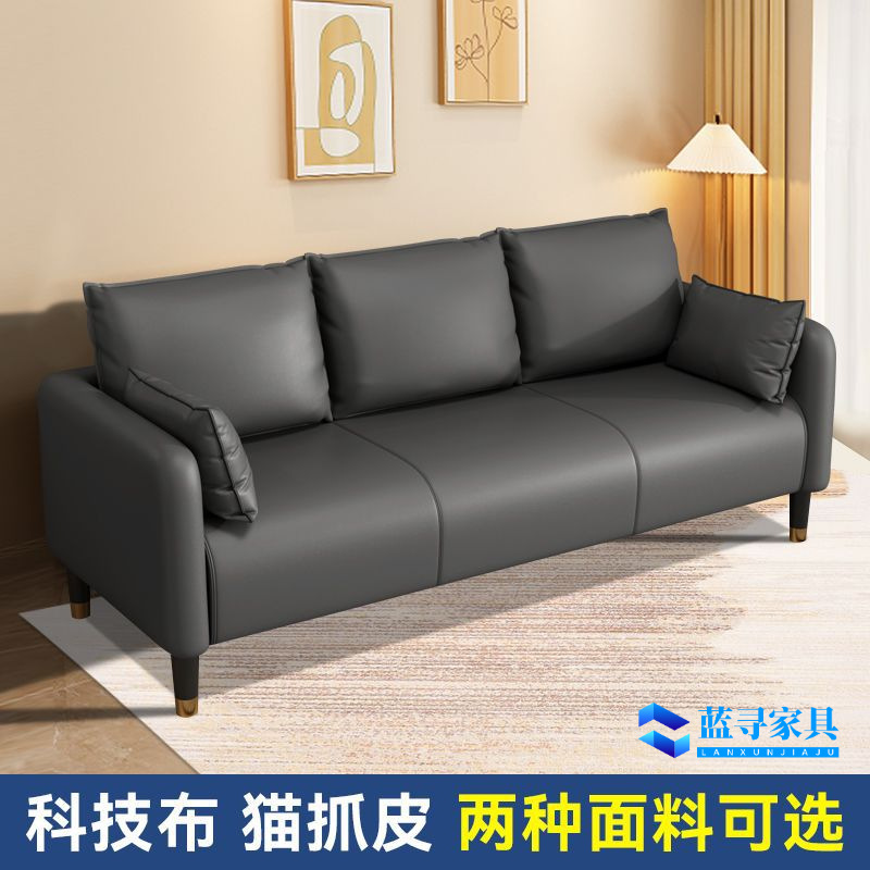 Cat Scratch-Resistant Leather Sofa for Small Living Rooms, Simple Double or Three-Seater, Nordic Style, Suitable for Rental Apartments or Clothing Stores