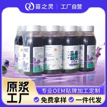 ���ƹ��S�{ݮ�p�ƿ�b�{ݮ��֭�Ʒ����ƿ�bˬ�ڽ�ā�{ݮ���OEM