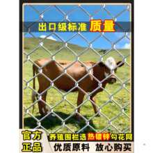 �����P���F�z�W����\䓽z�W���ڲˈ@�o�ھW�����B�u���o�Bֳ�F�W