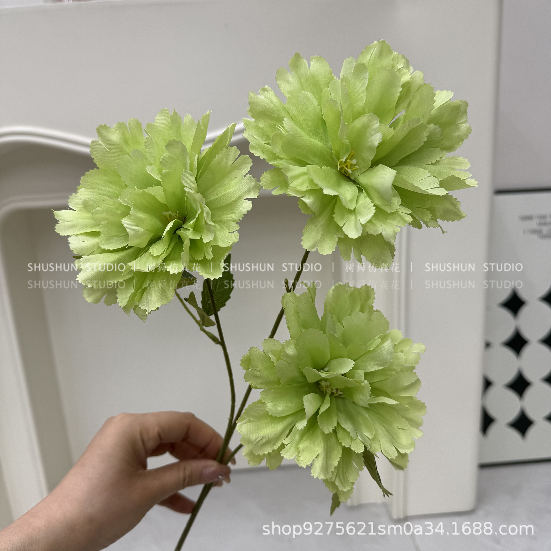 3 peonía de hibisco-verde claro