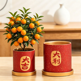 �tɫϲ�c����ʽ�����m����󼪴������L�����մɻ��茣�Æ��w�Y��