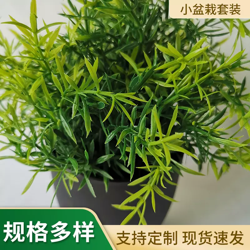 亚马逊创意室内家居仿真绿植小盆栽盆景家居摆件书桌迷你装饰植物