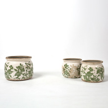 �nʽ�ŵ�͹����f�մɻ�ƿ����Gֲ���ջ����໨�޹ŵ�Ҿ�ܛ�b