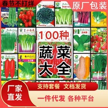 һ�����l�߲˷N���ļ����װײ��}�������������S����������С�[