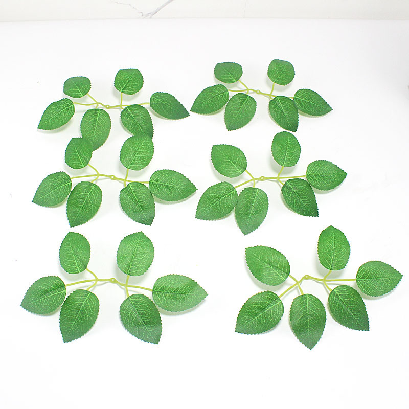 微信图片_20241028111827