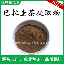 巴拉圭茶提取物 20:1巴拉圭茶粉 马黛茶粉末原料 茶多酚 现货