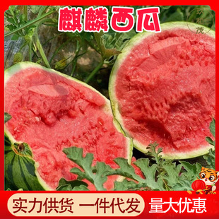 ������������5-10�����䑪���������rˮ�����l���]3�����������