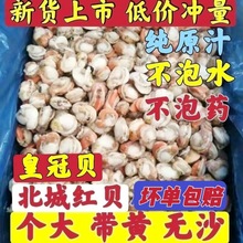 扇贝肉新鲜特大号长岛北城红贝原汁皇冠贝带黄无沙品质保证独立站