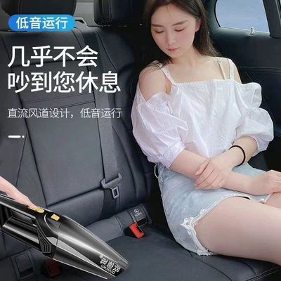 Tozsoranlar, rechargeable handheld indoor sofa and