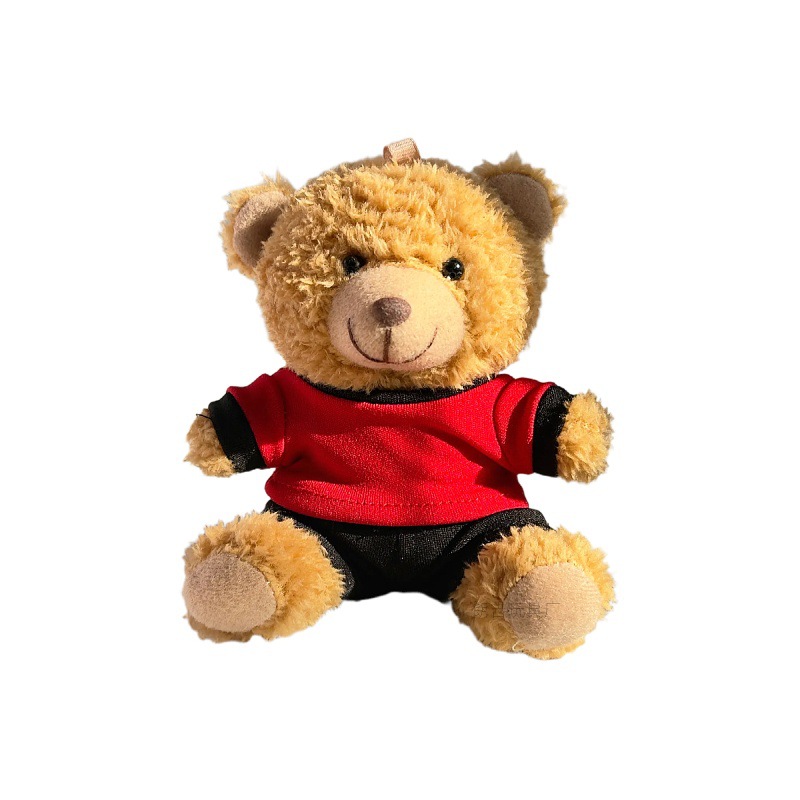 Equipo de la Copa del Mundo vestido osos colgante llavero creativo pequeño regalo muñeca peluche bolsa colgante impresión LOGO