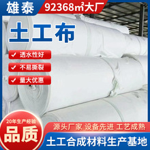 无纺短丝防渗聚酯长丝土工布定制直销 公铁路堤坝河道工程 防养护