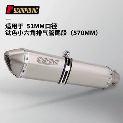is suitable for 51MM diameter – Motorcycle exhaust pipe - titanium-color-small-hexagon-570mm