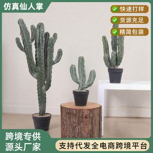 ���W�L���������������ɳ��ֲ���쾰���������������T���b[��