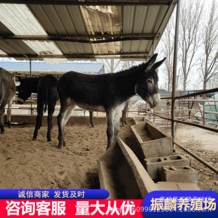 ɽ�|���H�Bֳ�����l�����H���w���H��3-5�������H������С�H�x