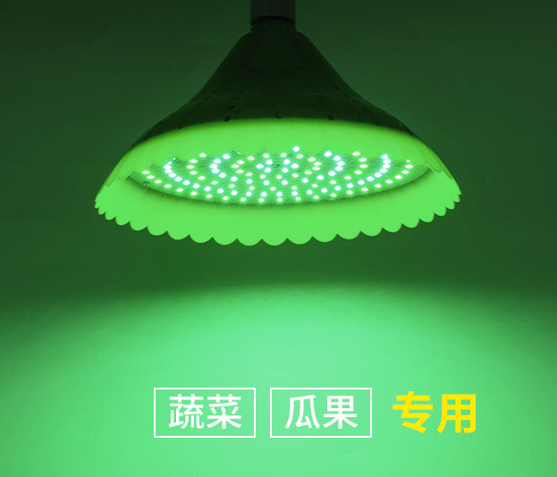 LEDフルーツランプ、生鮮食品ランプ、調理済み食品、漬物、野菜、果物、スーパーマーケット専用ランプ、パン、魚介類、冷製生肉シャンデリア|undefined