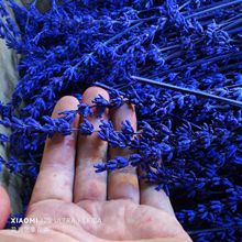 ޹�²��������ɻ���Ϲ��S�滨ֱ�l��޹��ˇ�廨���]��������