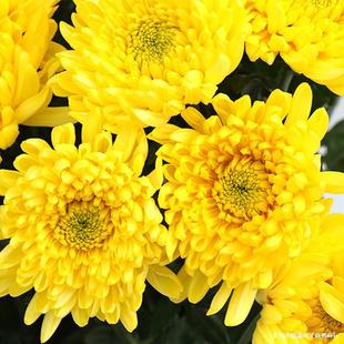 �ɶ������S�ջ��N��70���ָ������ļ����д����ă�