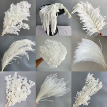 �������R�ɰ�ɫ���ĸɻ��������b���Ͽ羳���l�������b�Y��c