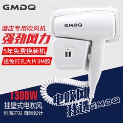 ホテルのドライヤーの壁掛け式ホテルの専用のトイレは壁を掛けます。
