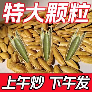 ���˹����L�w�����}�����Ϲ��Ѽ�ԭζ���e�Թ���ʳ����������l